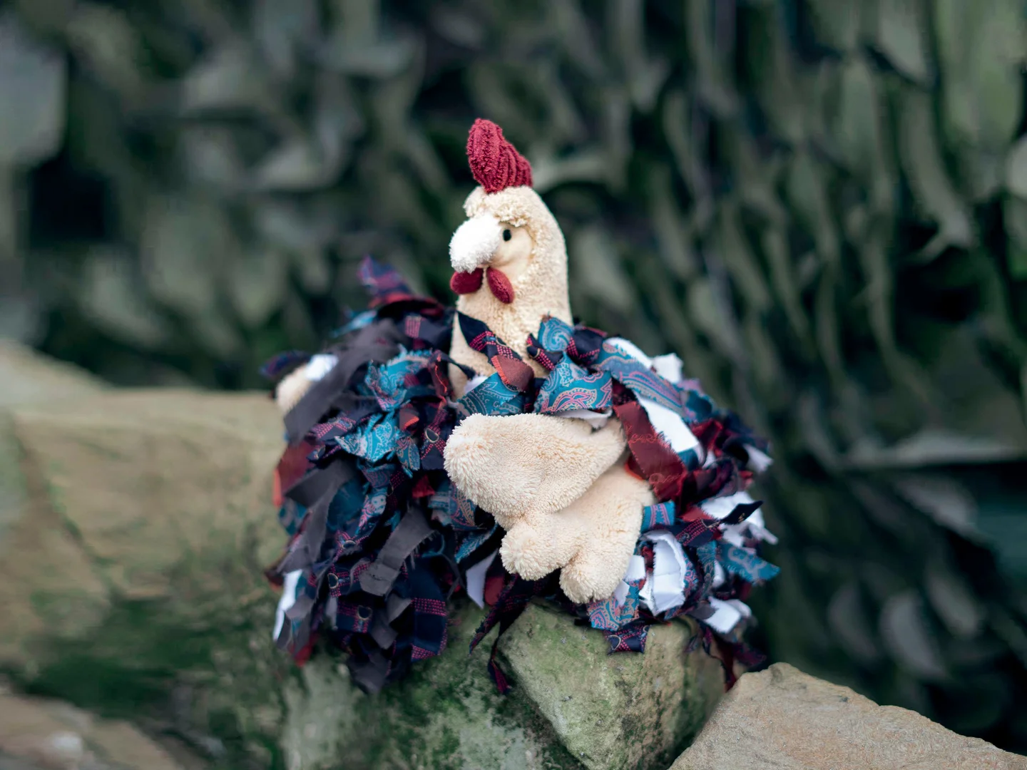 Amanda, das kleine Huhn