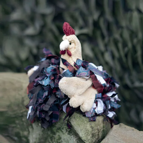 Amanda, das kleine Huhn