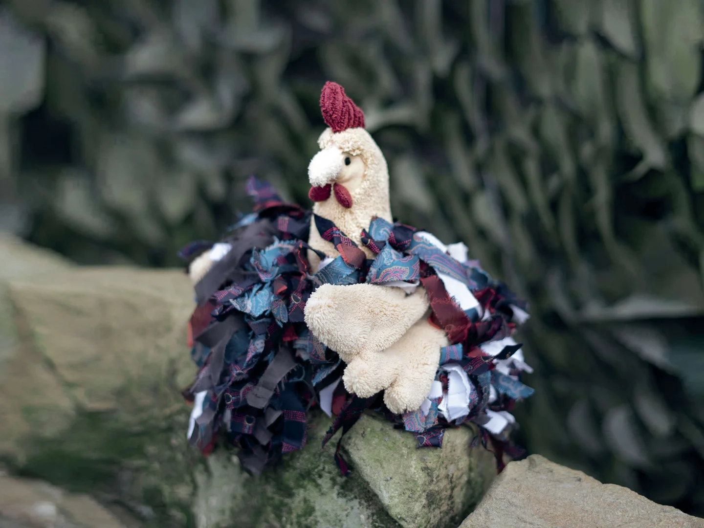 Amanda, das kleine Huhn