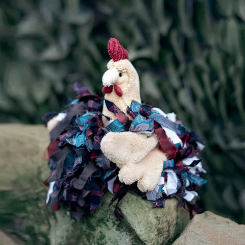 Amanda, das kleine Huhn