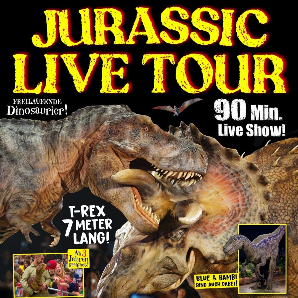 DinoJurassic DinoJurassic