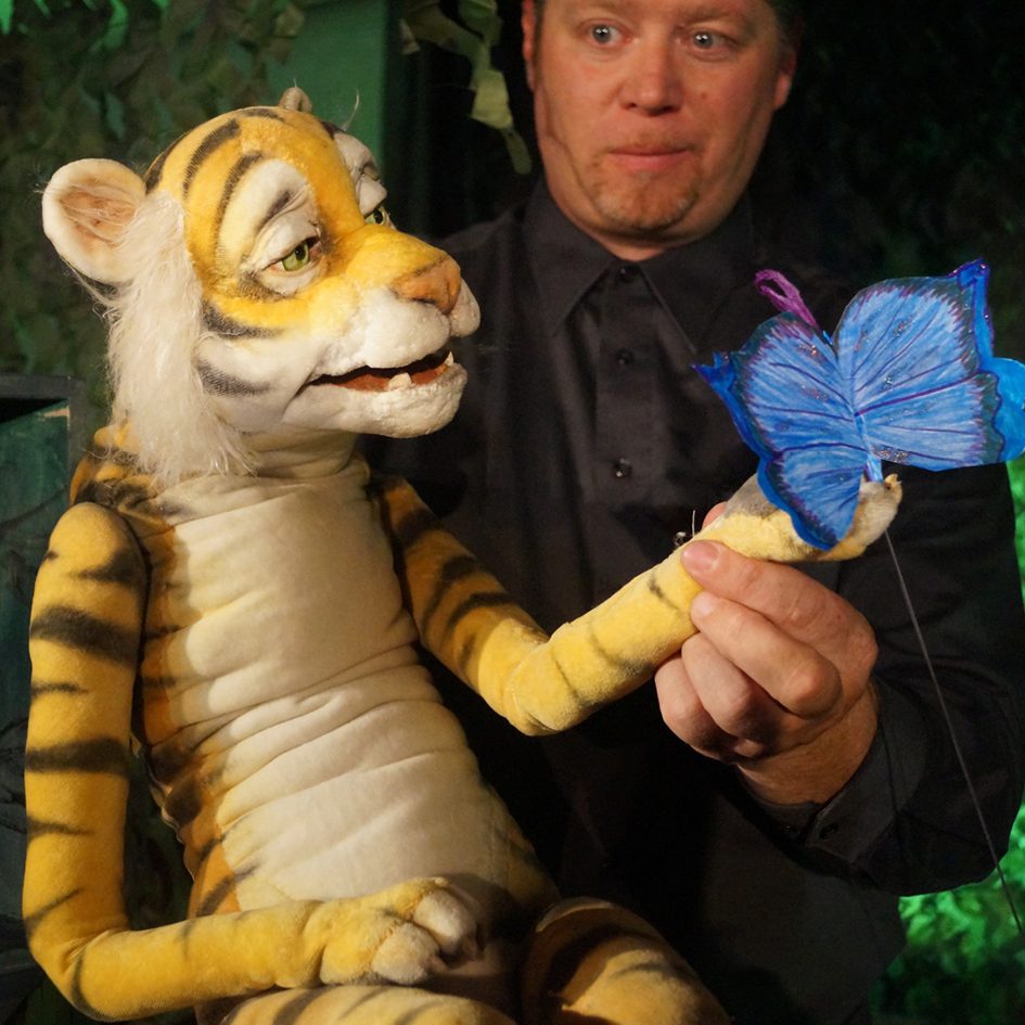 HP_Tigerwild HP_Tigerwild